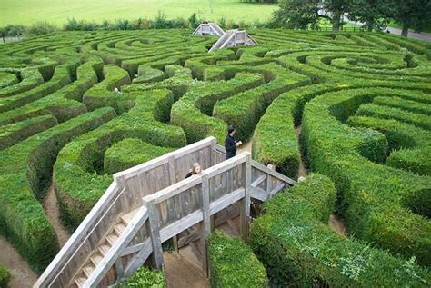 Longleat Hedge Maze – Wiltshire, England - Atlas Obscura