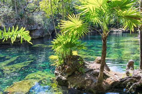 The Best Cenotes In Mexico - Yucatan Top 10 | Adventure We Seek