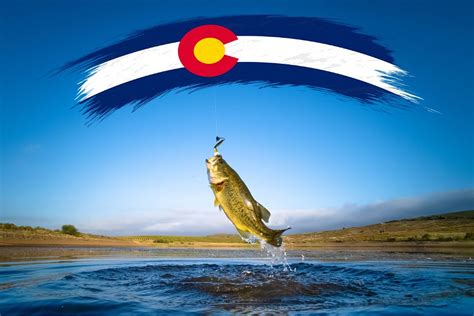 3 Quick Tips For Fishing In Colorado This Summer