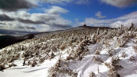 Mt Cannon (NH, 4000) - TrailsNH Hiking Conditions