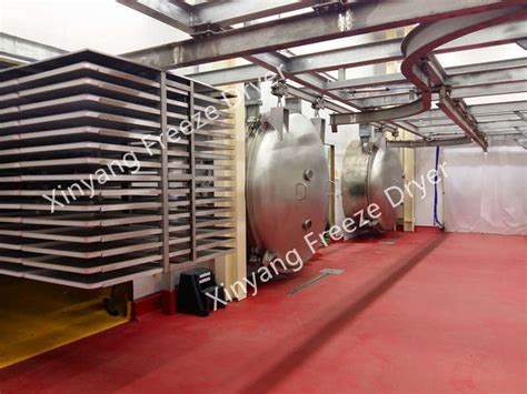 Supply Industrial commercial vacuum freeze dryer with 5000 kg capacity Wholesale Factory ...