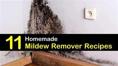 11 Make-Your-Own Mildew Remover Recipes