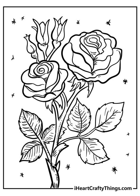 Realistic Flower Coloring Pages