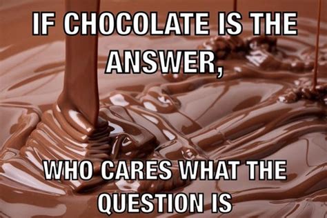 Chocolate-meme - Best 5 Supplements