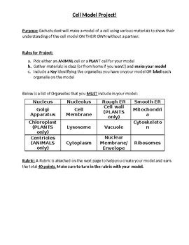 Cell Model Project with Rubric by Science with Shmouni | TPT