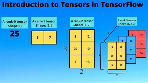 Introduction to Tensors in TensorFlow