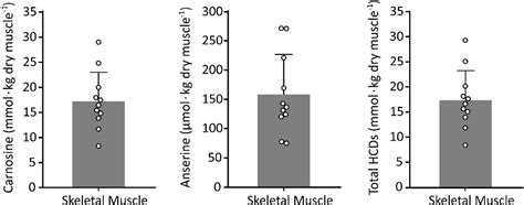 Anserine is expressed in human cardiac and skeletal muscles - Souza ...