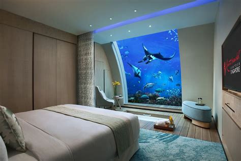 Das größte Aquarium der Welt steht in Singapur | Underwater hotel room ...