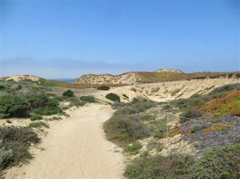 Fort Ord Dunes State Park Beach in Marina, CA - California Beaches