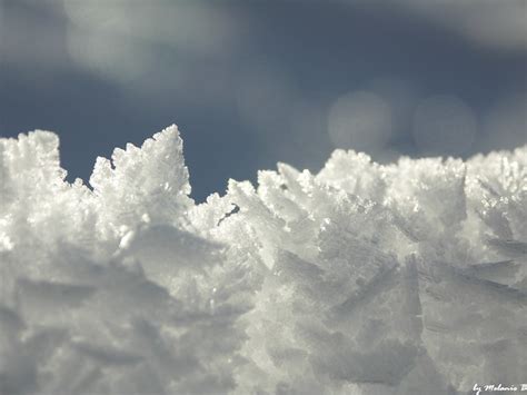 SNOW ~ macro | PICT5204 | By: Flying_Snow | Flickr - Photo Sharing!