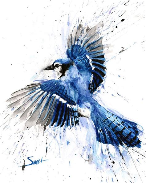 Watercolor Blue Jay at GetDrawings | Free download