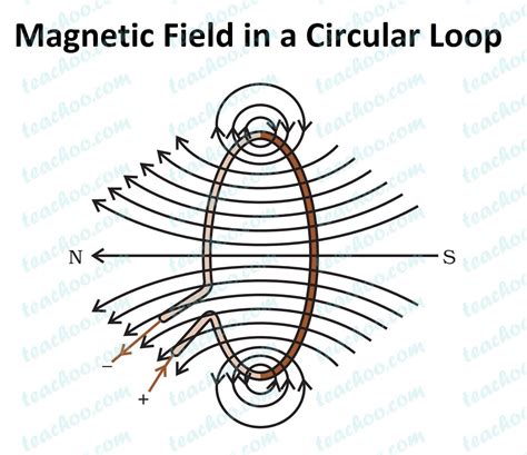 electromagnetism - At which point is the magnetic field in a current carrying loop the strongest ...