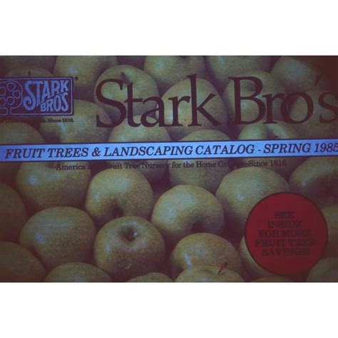 Stark Brothers Fruit Tree Catalog | Fruit Trees