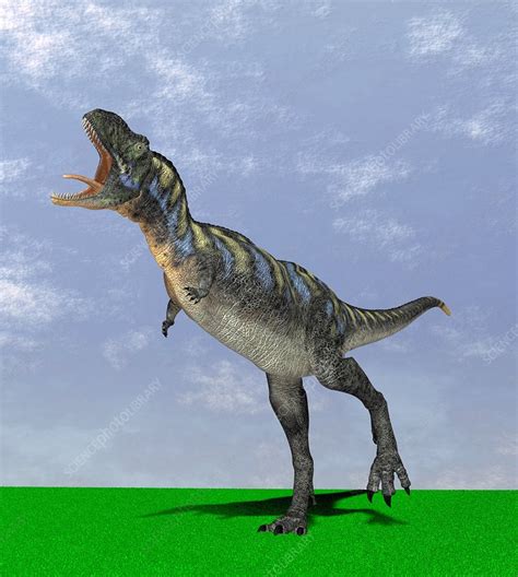 Aucasaurus dinosaur, computer artwork - Stock Image - C003/3059 ...