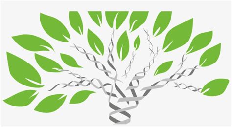 Have A Dna Test Or, Maybe Not - Dna Barcoding In Plant - Free Transparent PNG Download - PNGkey