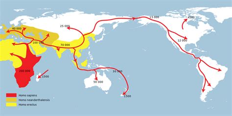 Teori Out of Africa, Asal-usul Manusia Modern