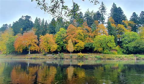 The Battle of Dunkeld – Dunkeld Cathedral