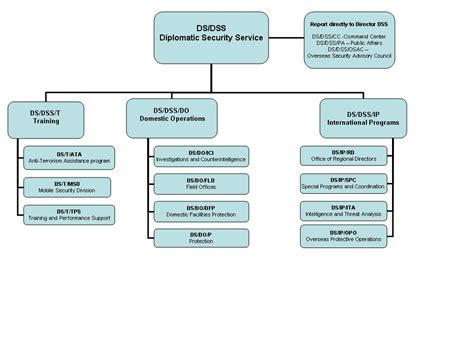 File:DSS Org Chart.jpg - Wikipedia