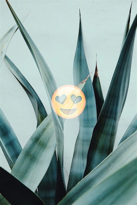 Aloe Vera Emoji IPhone Wallpaper Heart eyes Tumblr | Plants, Flowers photography, Trendy flowers