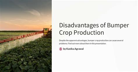 Disadvantages of Bumper Crop Production