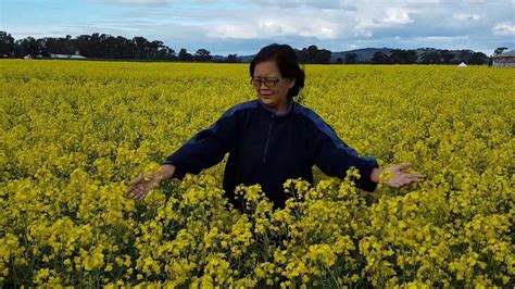 Canola Farm in Australia - YouTube