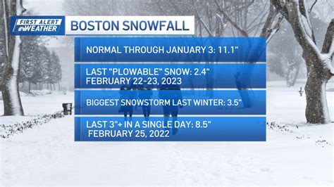 Winter storm Boston 2024: How much snow is Massachusetts getting on Sunday? – NBC Boston