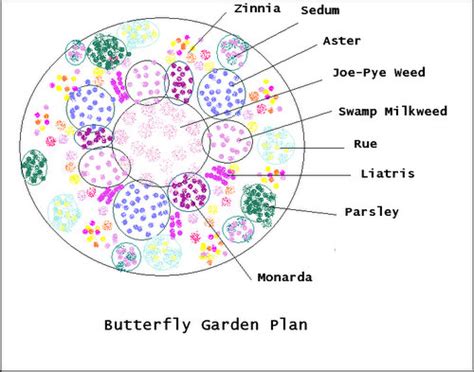 Butterfly Garden Plan