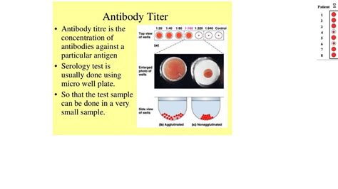 Immunology6-How vaccines work. Antibody titer. - YouTube