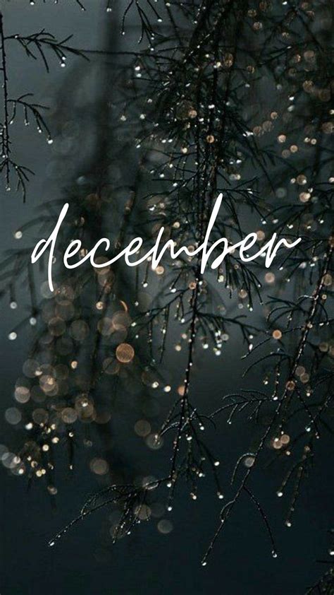 December Wallpaper by @whatdreareads | December wallpaper, Wallpaper ...