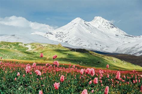 Ecotourism in the Caucasus: The GoCaucasus Portal