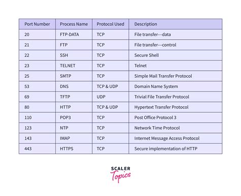 What is Port? - Scaler Topics