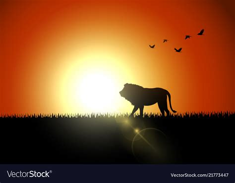 Sunset Wallpaper Lion Silhouette / You can also download hd background ...