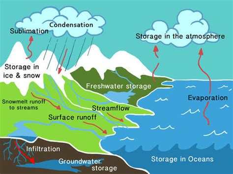 Condensation ( Read ) | Physical Science | CK-12 Foundation