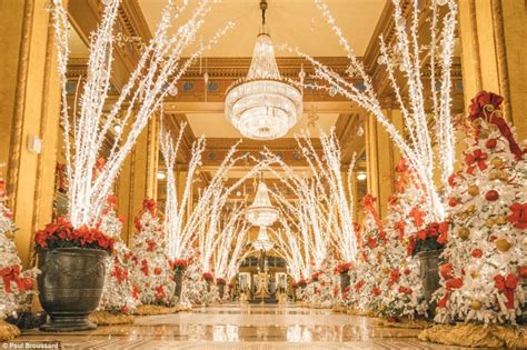 The Roosevelt New Orleans hotel's Christmas display | Daily Mail Online