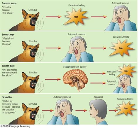 Common Sense Theory of Emotion