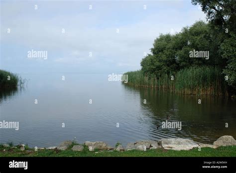 Lac Neuchatel Switzerland Stock Photo - Alamy