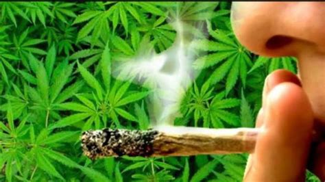 Ganja addicts create a nuisance in Hyderabad | INDToday