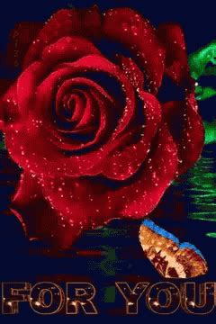 Rose For You GIF - Rose ForYou - Discover & Share GIFs