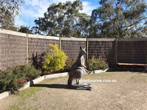 Moonlit Sanctuary Wildlife Conservation Park - ToMelbourne.com.au