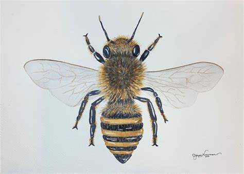 Honey Bee | Bee, Affordable art, New art