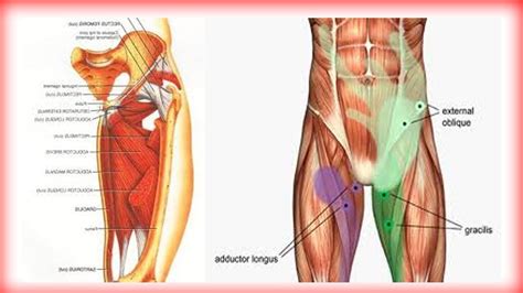 Пин на доске pijn reducerende oefeningen - exercises for pain relief