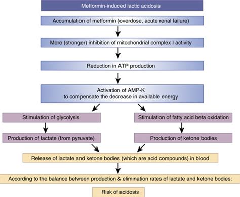 Metformin Lactic Acidosis Treatment