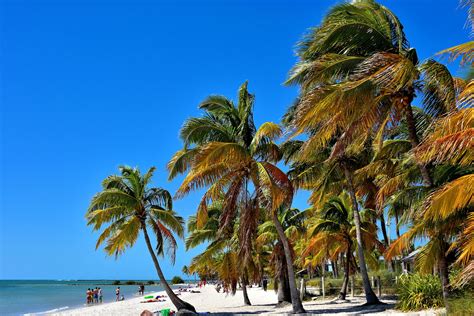 Swaying Palm Trees at the Beach in Key West, Florida - Encircle Photos