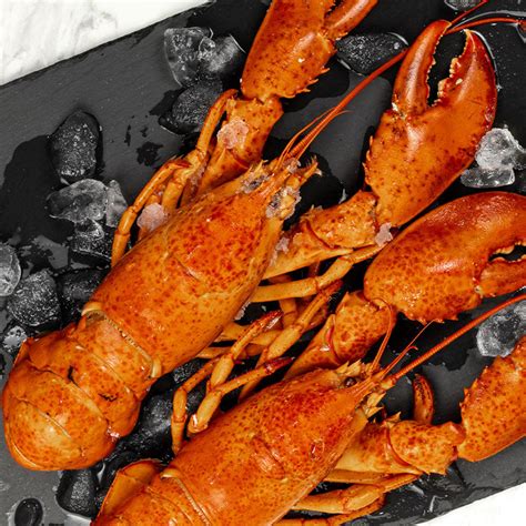 Whole Maine Lobster – Pure Food Fish Market