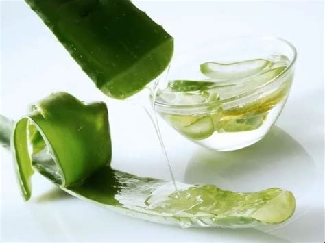 Liquid Aloe Vera Extract, Packaging Type: Bottle, Packaging Size: 100 G at Rs 1700/litre in Noida