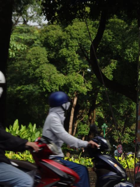 Lê Văn Tám park - HCMC Street | OLYMPUS DIGITAL CAMERA | Flickr