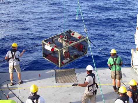 New Mariana Trench species is the deepest-dwelling fish in the ocean