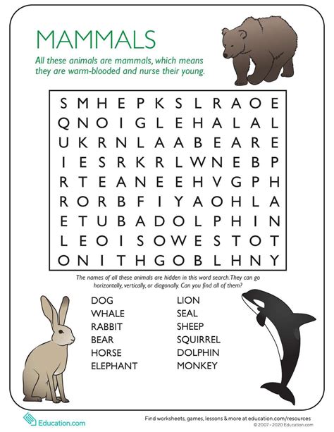 Mammals search | Science worksheets, Mammals activities, Mammals