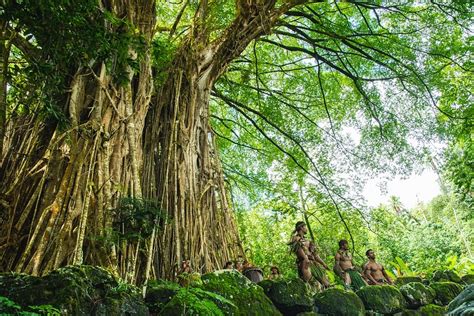 Banyan Tree Old - Free photo on Pixabay