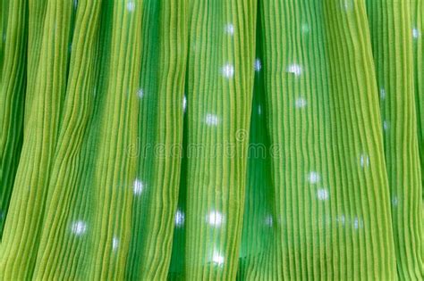 Green Textile Background. Emerald Corrugation Fabric, Undulation Ripple Wave Backdrop with Spot ...